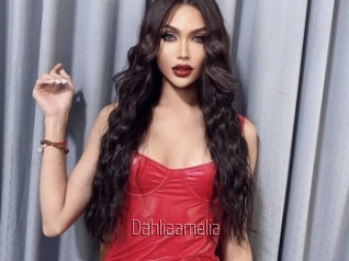 Dahliaamelia