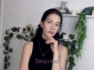 Daisycrosier