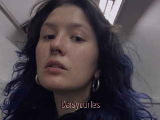 Daisycurles
