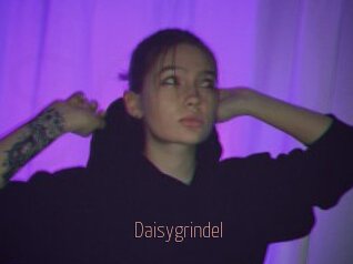 Daisygrindel