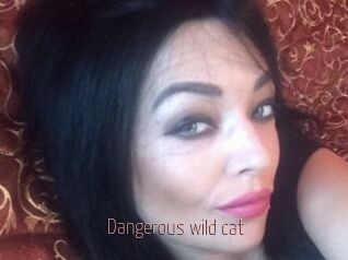 Dangerous_wild_cat