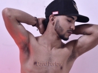 David_harlow