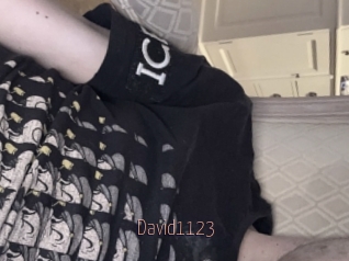David1123