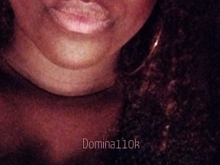 Domina110k