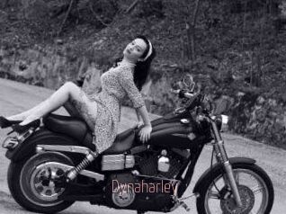 Dynaharley