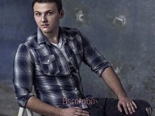 Elscorpion