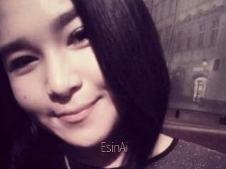 EsinAi