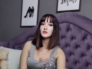 EvaBrix