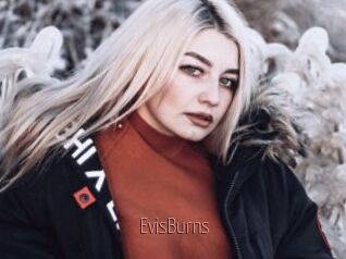 EvisBurns