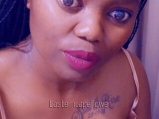 Easterncapeflower