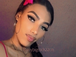 Ebonybiigcock22cm