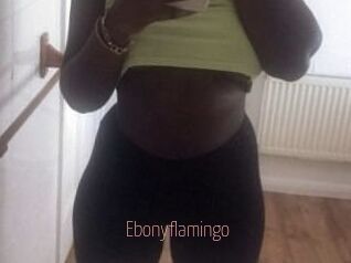 Ebony_flamingo