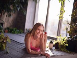 Electricflower