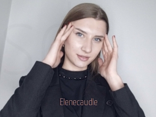 Elenecaudle