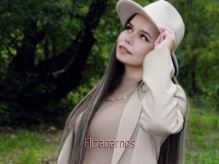 Elizabarnes