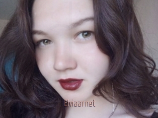 Elviaarnet