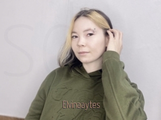 Elvinaaytes