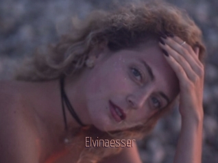 Elvinaesser