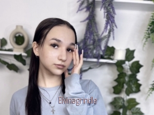 Elvinagrindle