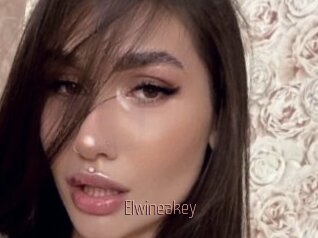 Elwineakey