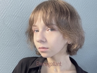Elwinegallant