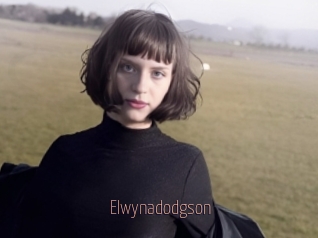 Elwynadodgson