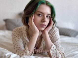 Emilylabunny