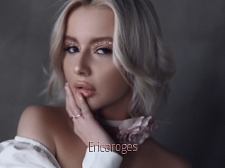 Ericaroges