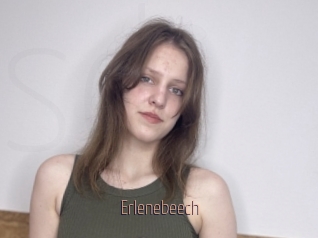 Erlenebeech