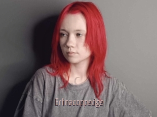 Erlinacoppedge