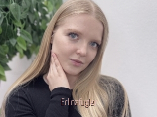 Erlinafugler