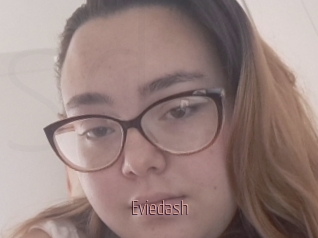 Eviedash