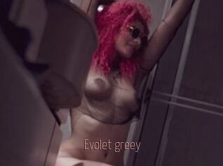 Evolet_greey