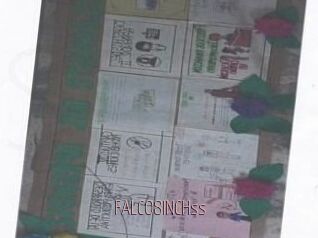FALCO8INCHss