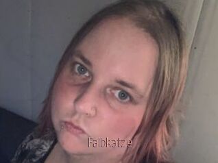 Falbkatze