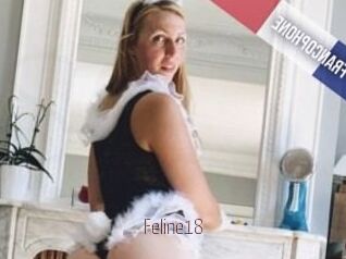 Feline18