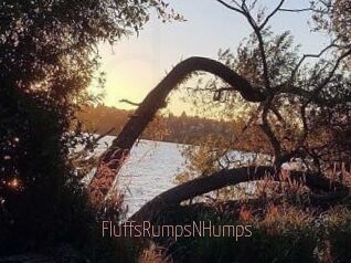FluffsRumpsNHumps