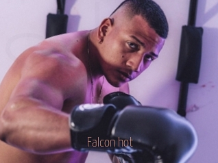 falcon_hot Sexe désirs