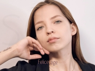 Felicecage