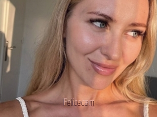 Felicecam