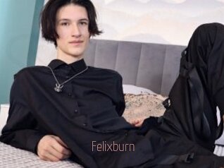 Felixburn