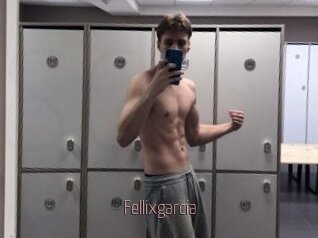 Fellixgarcia