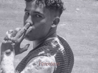 Fenixdeve