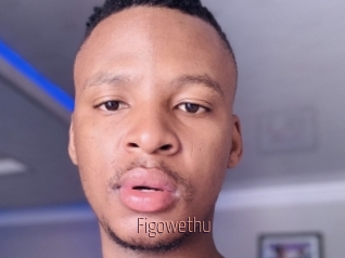 Figowethu