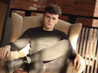 Flashwallis