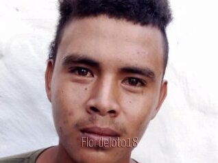 Flordeloto18