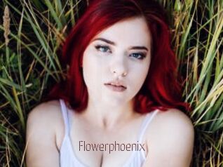 Flowerphoenix