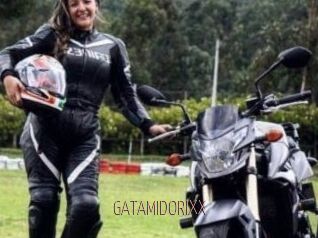 GATAMIDORIXX