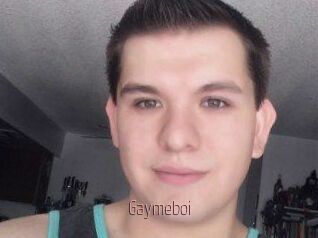 Gaymeboi