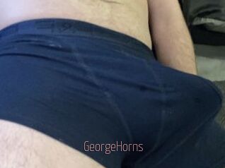 GeorgeHorns